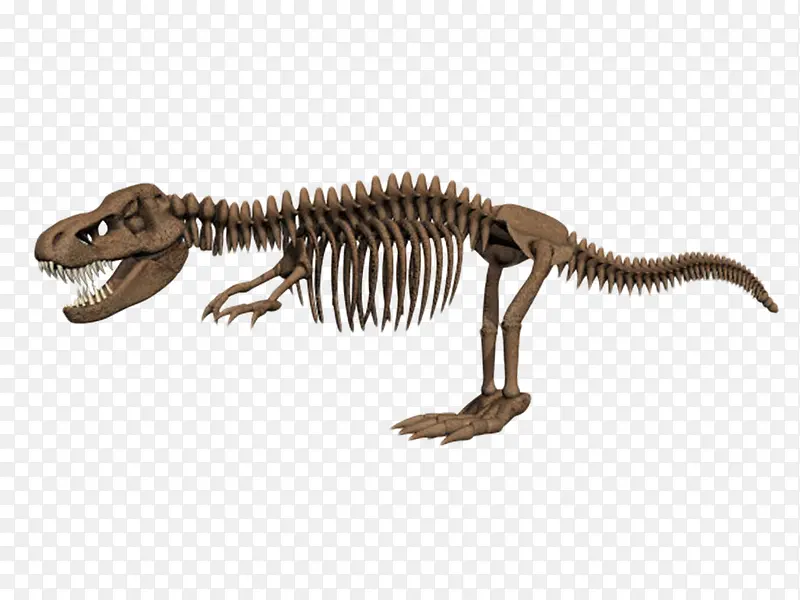 霸王龙骨架生物化石视图