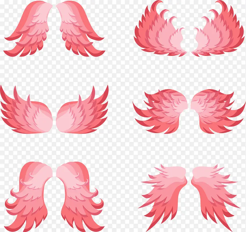 粉红色美丽的翅膀