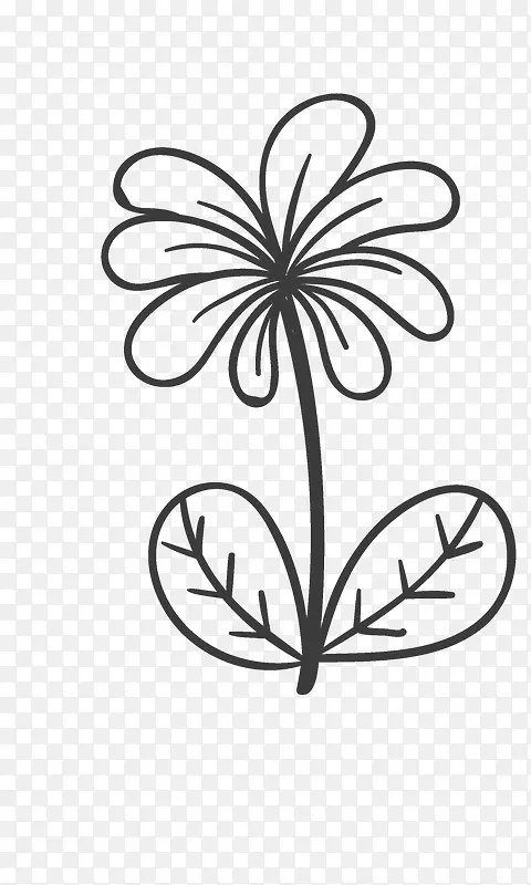开放的花朵简笔画