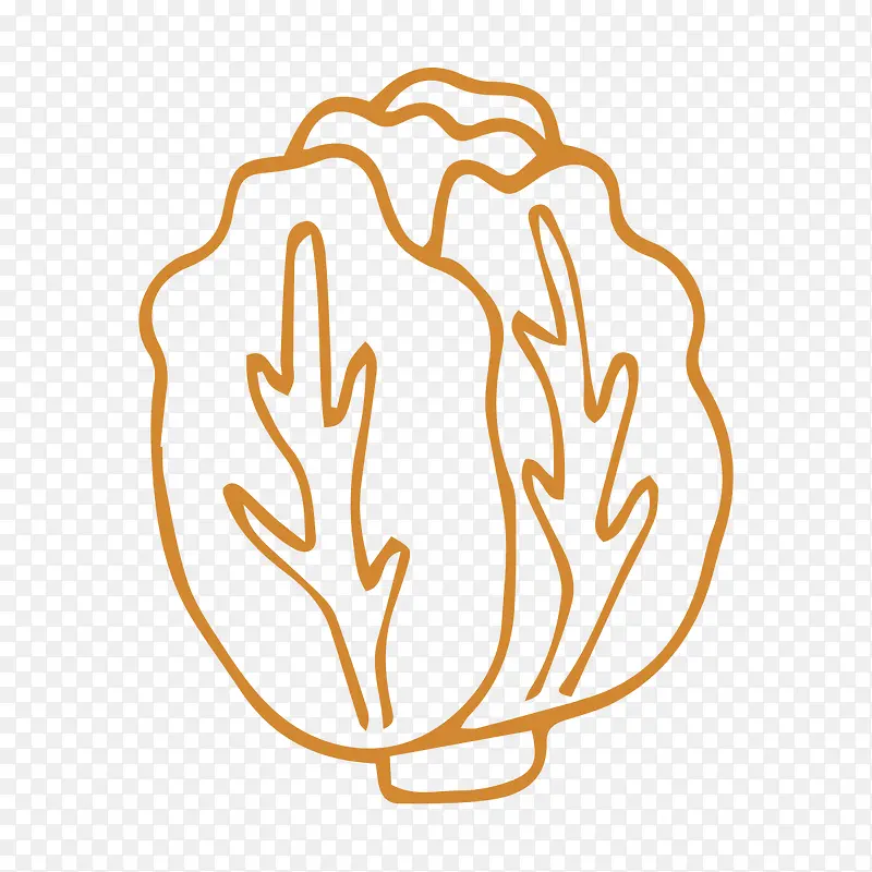 橘色白菜