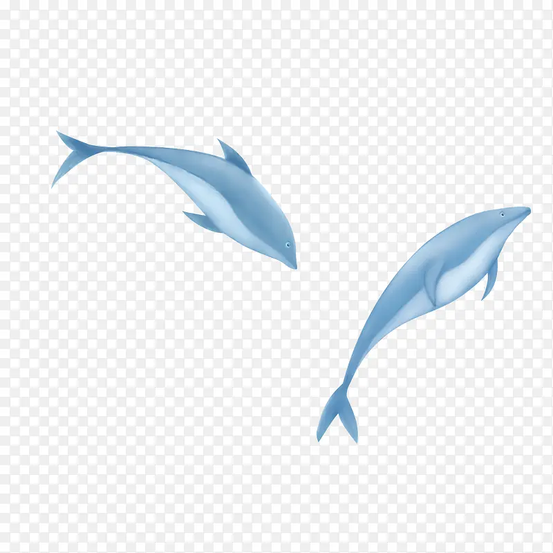 手绘卡通两条鲸鱼元素设计