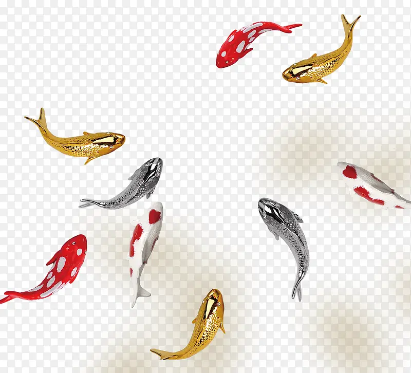 多种颜色的金鱼