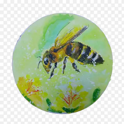 蜜蜂采蜜水彩画素材图片