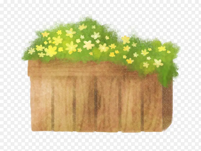 黄色小花盆栽