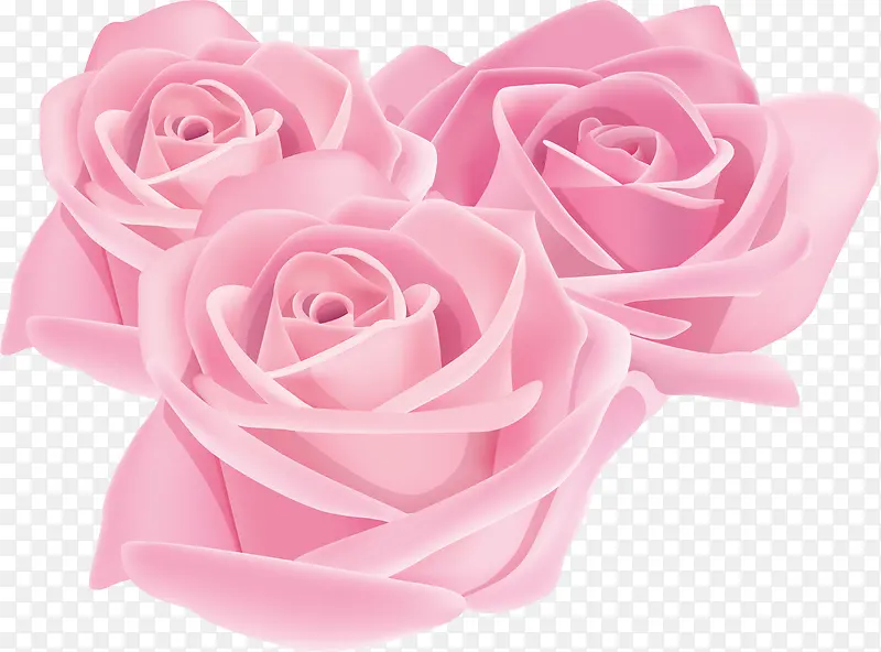 手绘粉色三朵玫瑰花