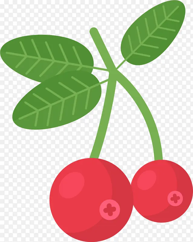 新鲜的矢量红色蔓越莓