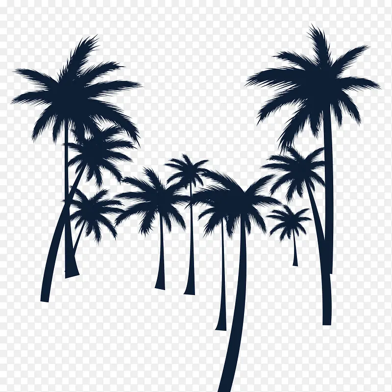 沙滩植物椰子树剪影