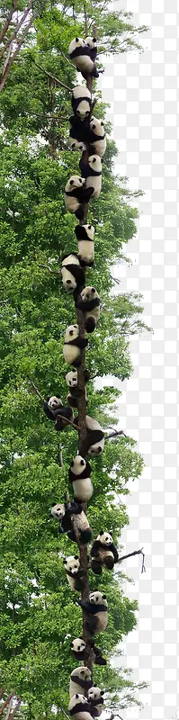熊猫免扣元素