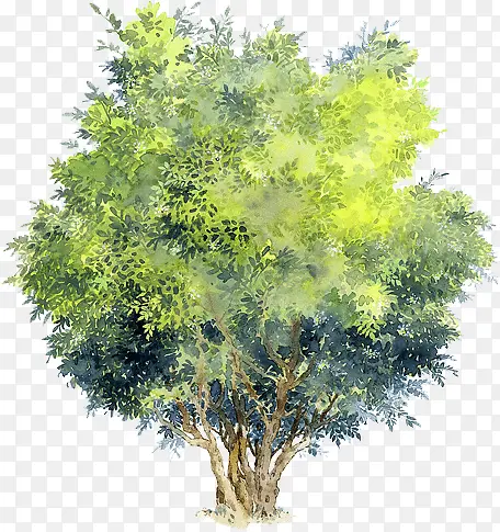 手绘夏季黄绿色大树