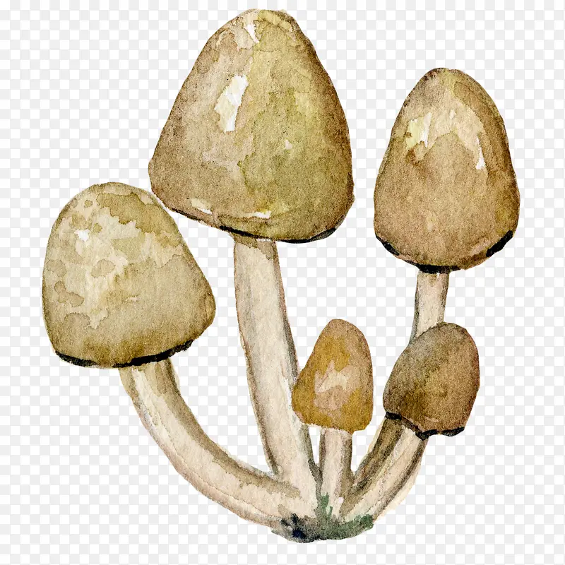 水彩棕色的蘑菇免抠图