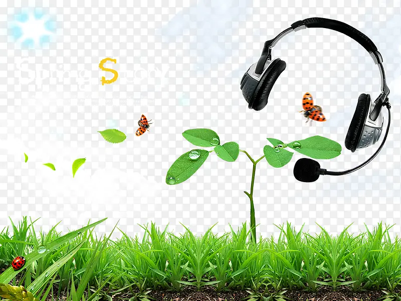 聆听小草声音