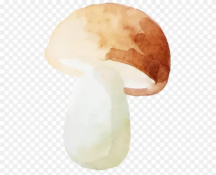 水彩画蘑菇