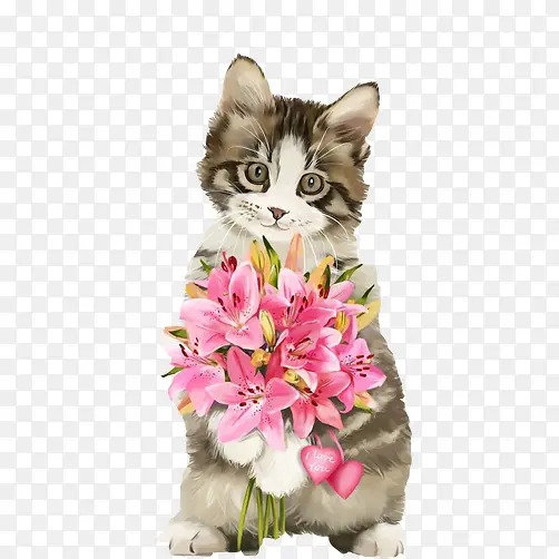 小猫手捧鲜花求爱图