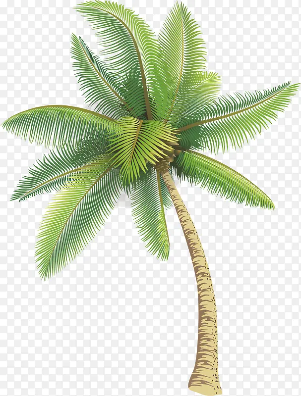卡通插画风热带椰子树