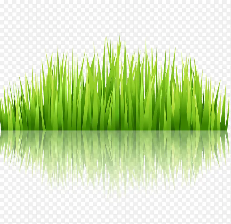绿色草丛植物矢量图