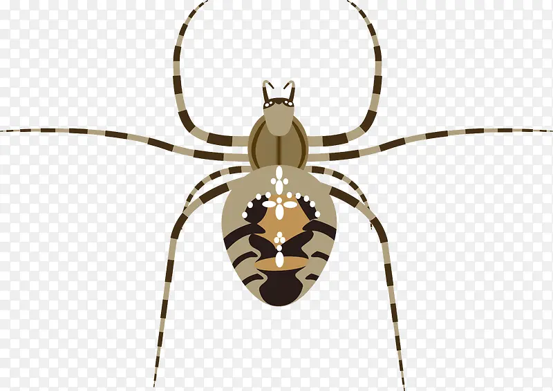 矢量蜘蛛插画