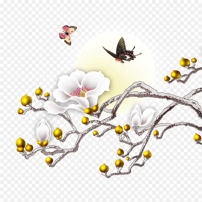 花枝PNG图片素材下载_图片编号7842722-PNG素材网