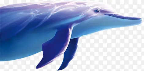 夏日鲸鱼蓝色海洋卡通效果