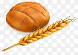 矢量面包