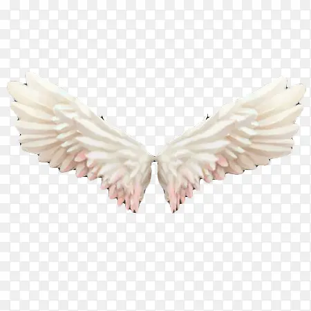 白色翅膀素材
