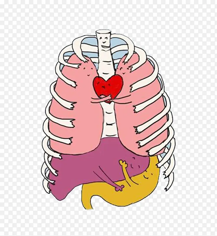 肺部肾脏爱心卡通画