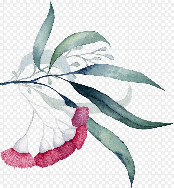 手绘清新花草花卉PNG图片素材下载_图片编号7862396-PNG素材网