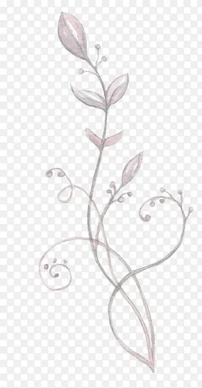 手绘植物花卉花草装饰花边