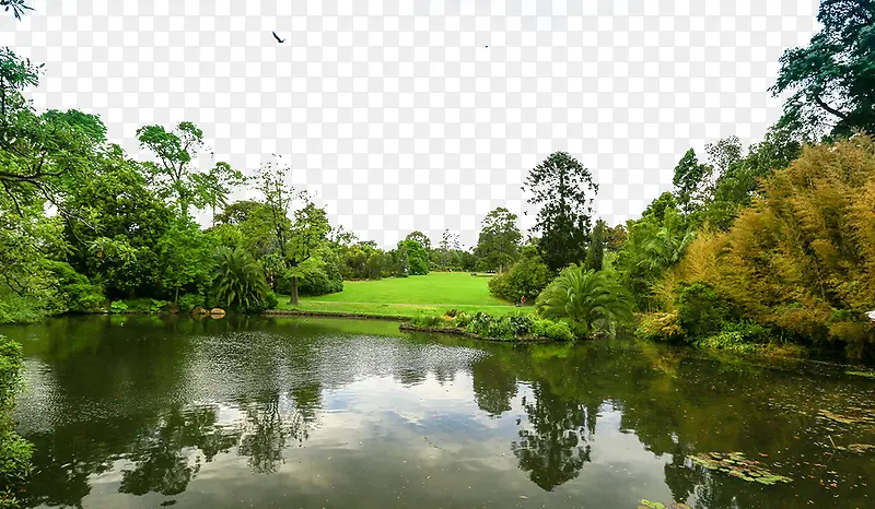 墨尔本皇家植物园风景