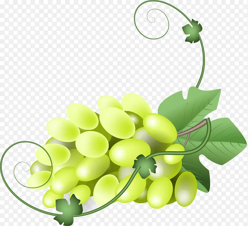 唯美绿色葡萄