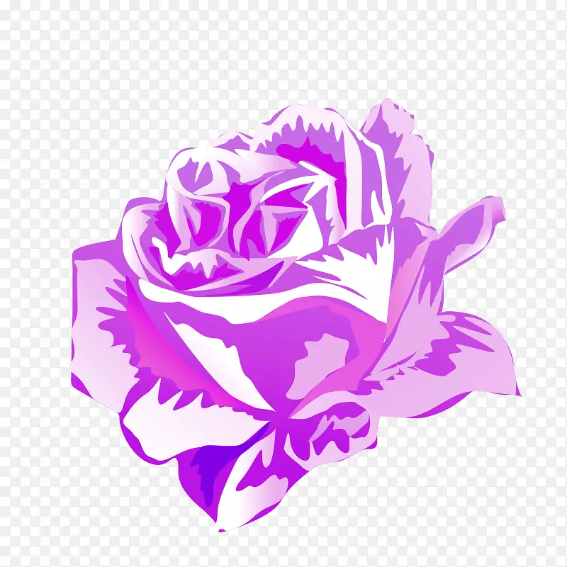 紫色水彩玫瑰装饰
