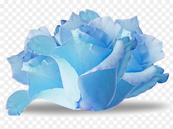 手绘水彩蓝色纸花