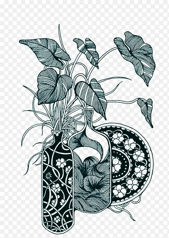手绘植物