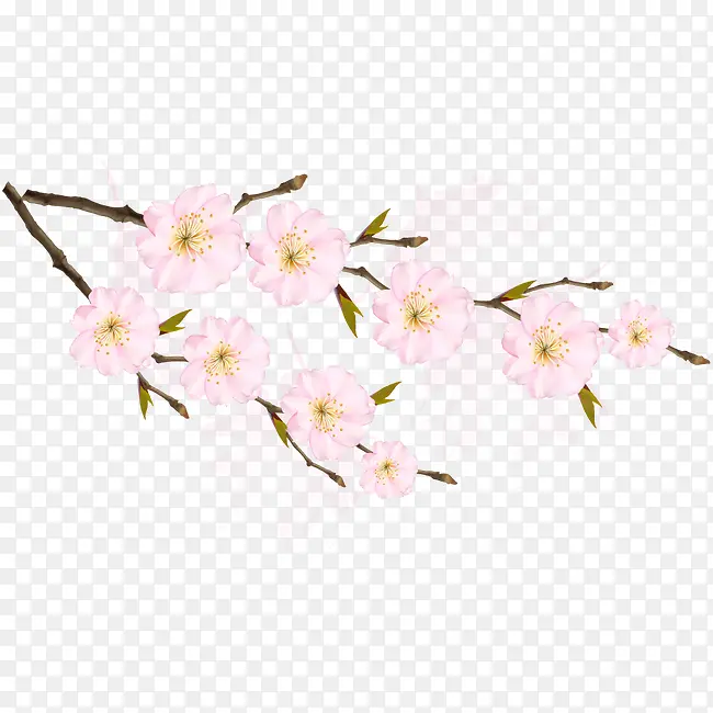 粉色树枝花朵
