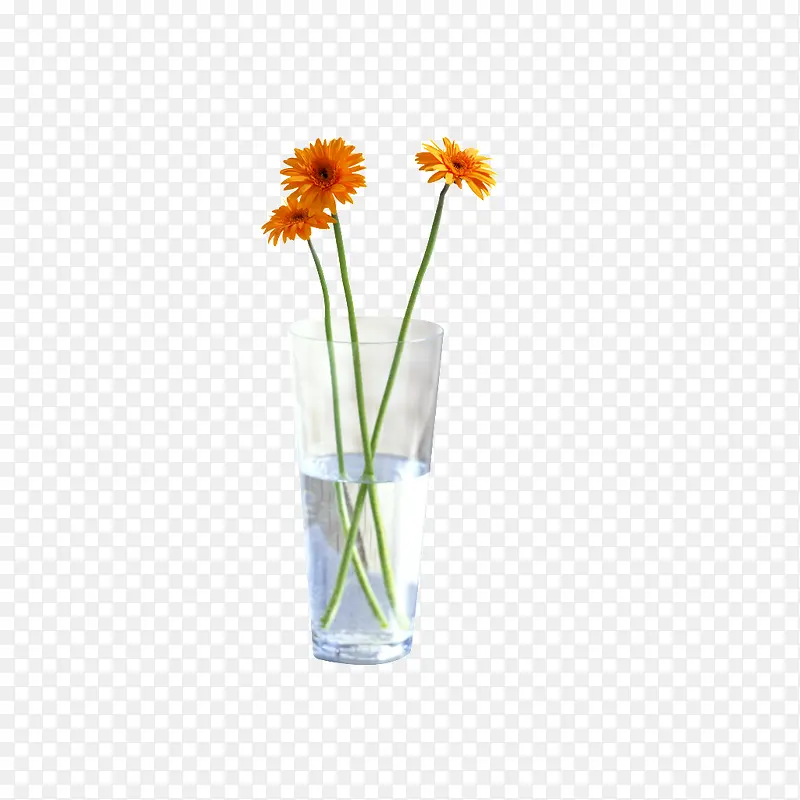 杯子里的花朵