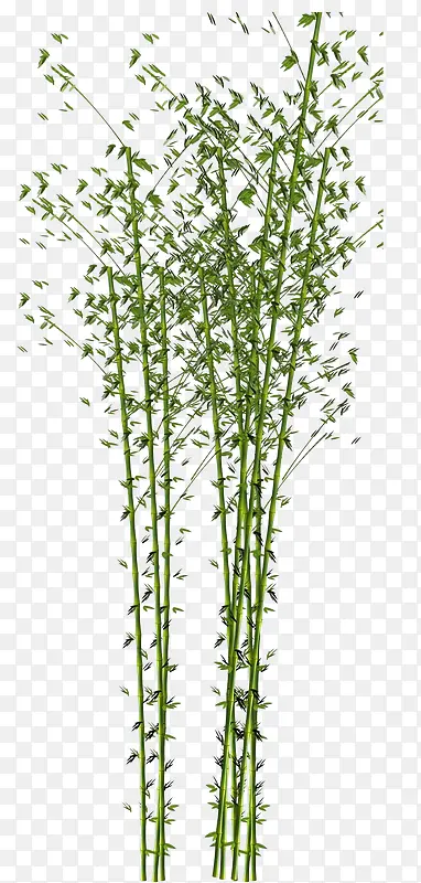 竹子图标素描