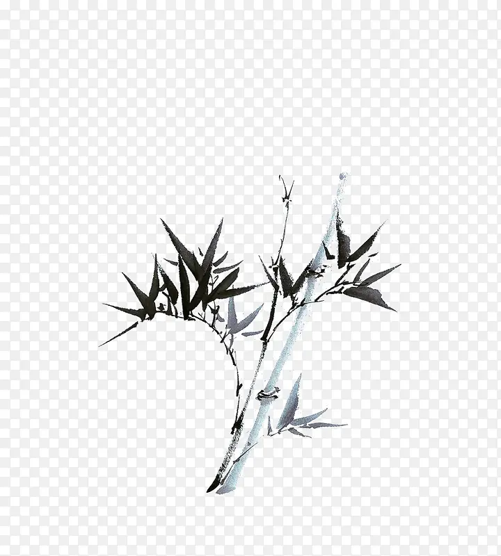 手绘竹子