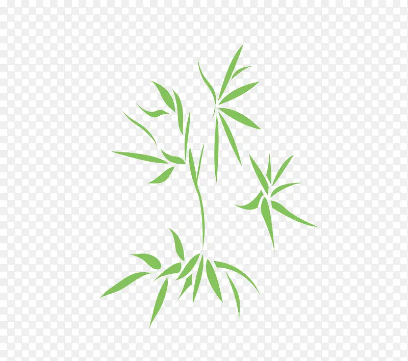 简单清新的绿色小竹子