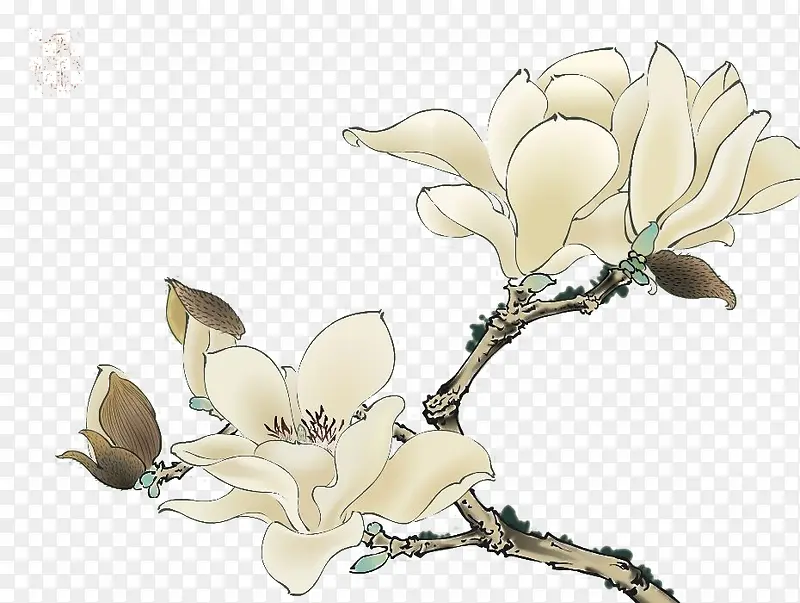 手绘水墨版的玉兰花PNG图片素材下载_图片编号7879530-PNG素材网