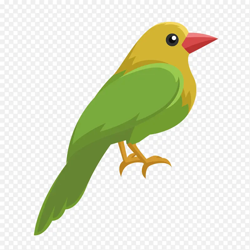 绿色可爱设计鹦鹉
