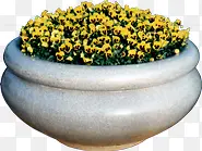 石材花盆黄色小花