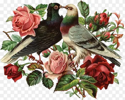 黑鸟与花