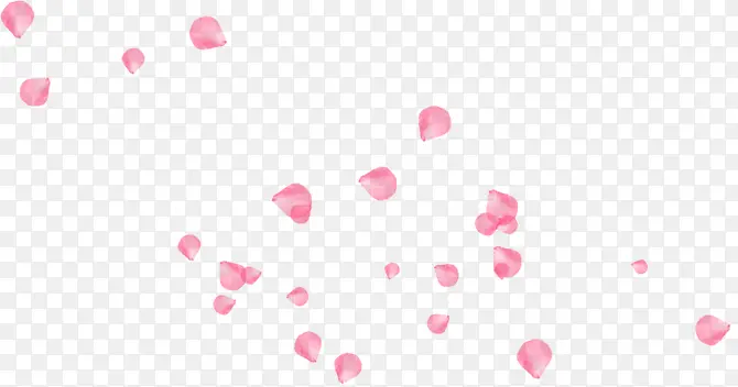 悬浮的粉色玫瑰花瓣
