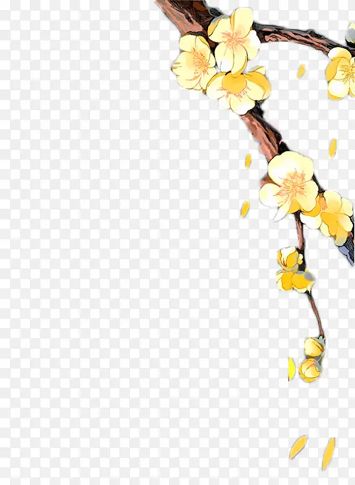 手绘黄花黄色树枝手绘树枝