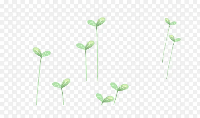 绿色小草