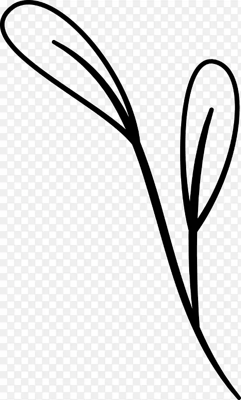 手绘植物叶子