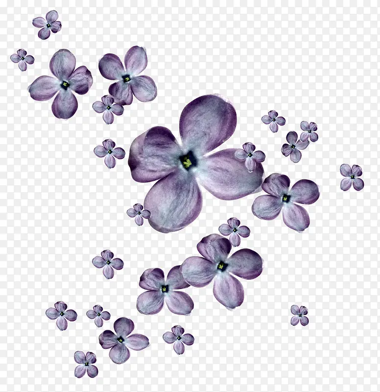 紫色花朵漂浮元素