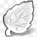 素描树叶黑白