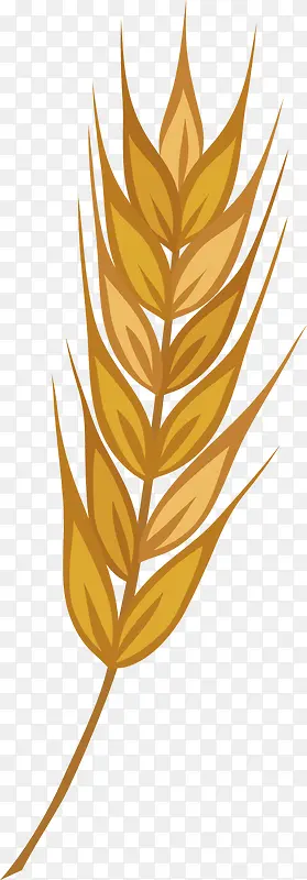 矢量图秋季麦子丰收