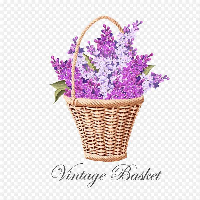 装满紫丁香的花篮矢量