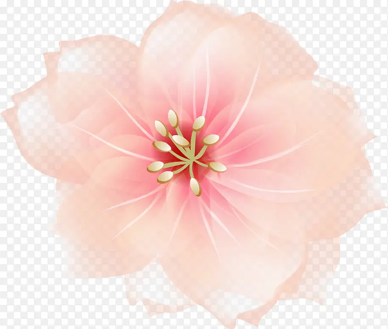 粉色美丽花朵